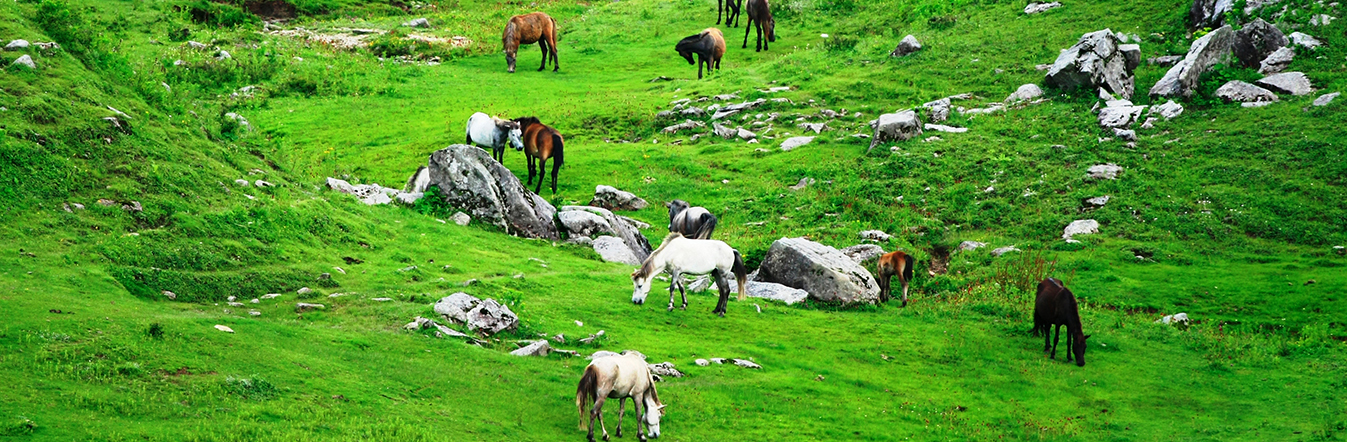 Khaptad Trek