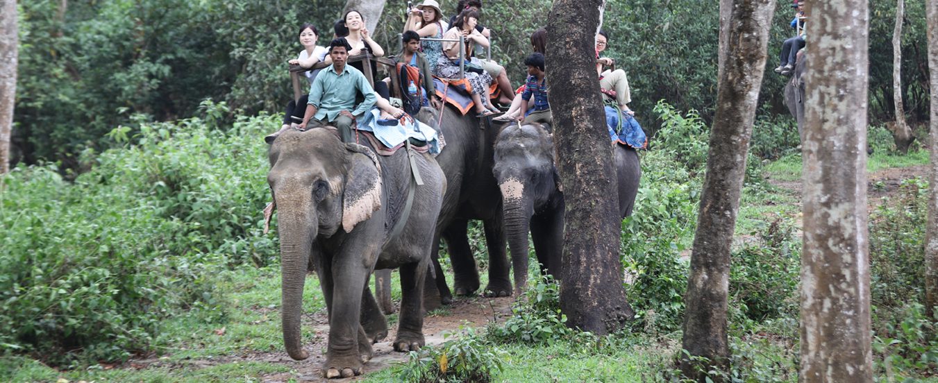 Chitwan Jungle Safari