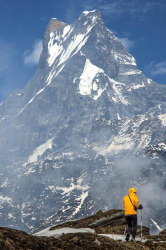 mardi-himal-base-camp